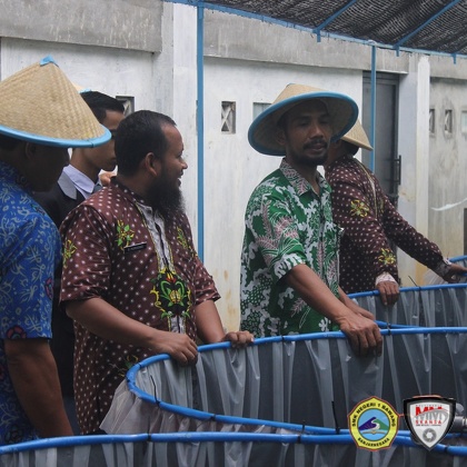 PANEN IKAN LELE 2018_14.JPG