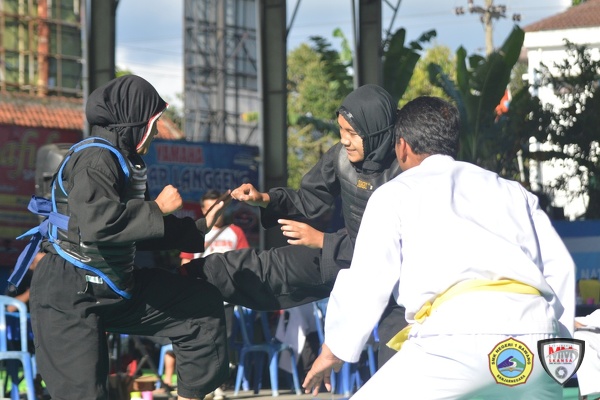 POPDA-Banjarnegara-Pencak-Silat (3)