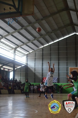 Banjarnegara-Basketball-League-(BBL)-Final (60)
