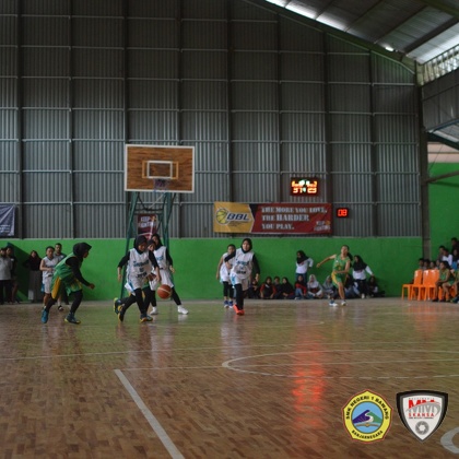 Banjarnegara-Basketball-League-(BBL)-Final (64).JPG